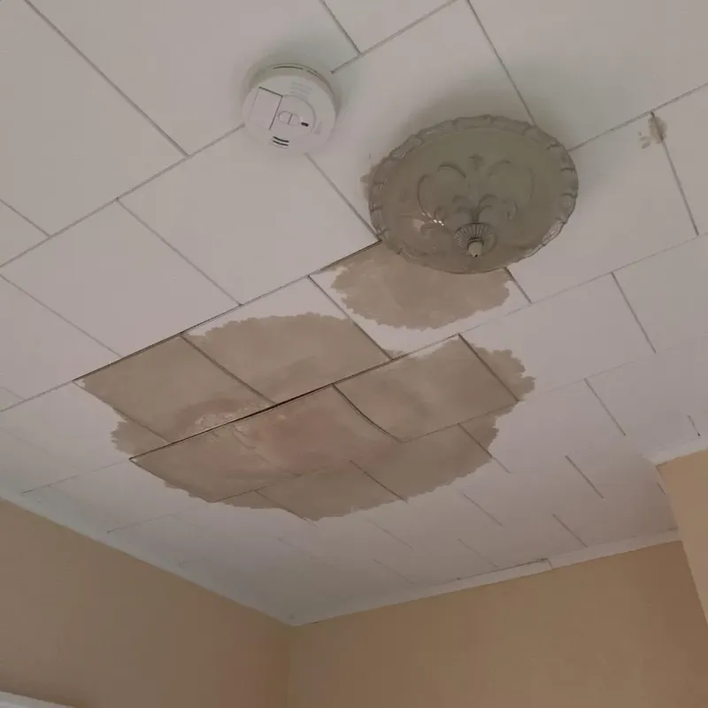 Ceiling Water Damage Repair in Dighton, MA
