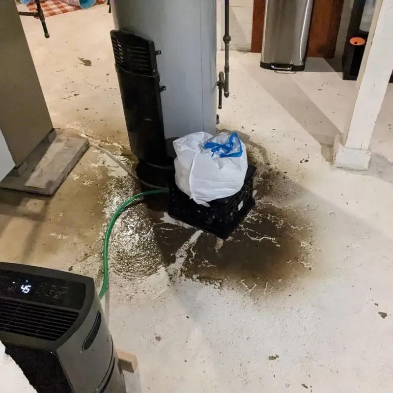 Sewage Backup Cleanup Service in Dighton, MA